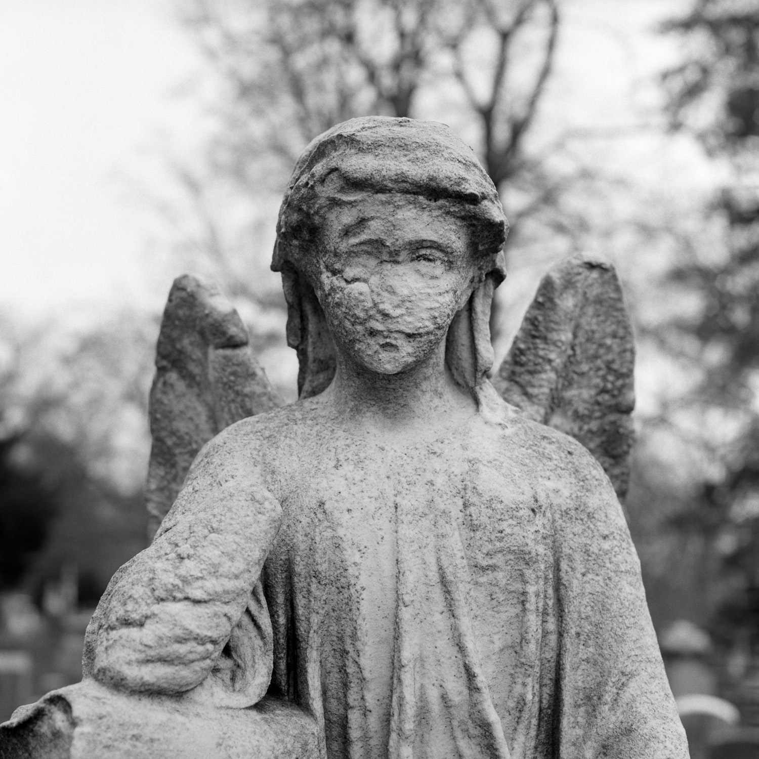 B&W image of an eroded stone winged statuary staring at the camera.