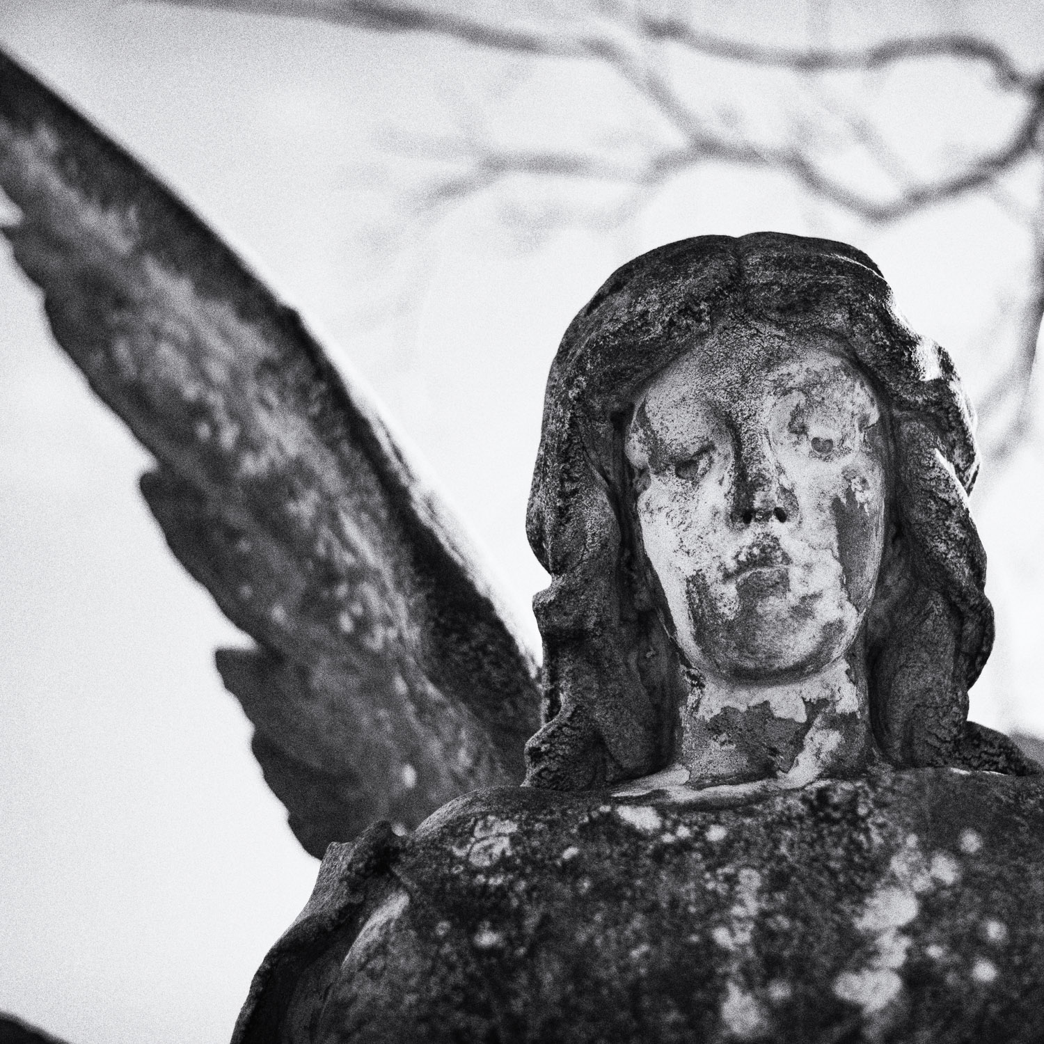 B&W image of a close-up of a weathered stone winged statuary.