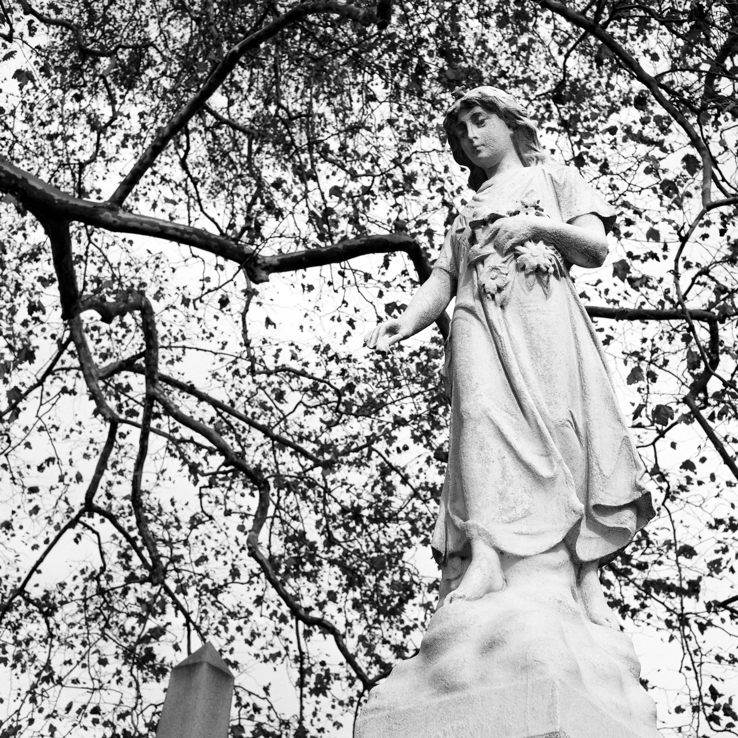 B&W image of a standing white stone statuary of a girl dropping flower petals.