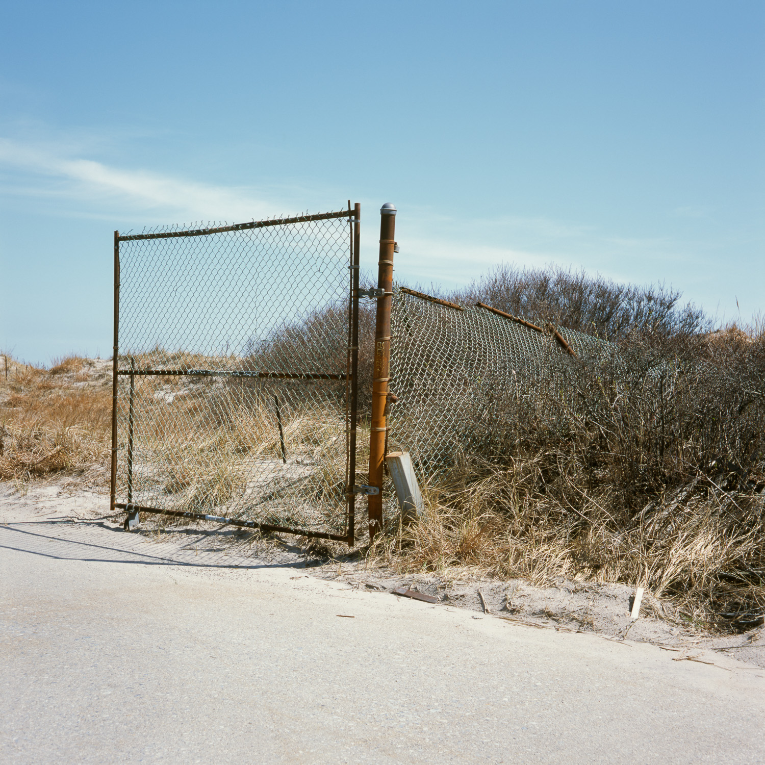  Color image of rusted chain link fence gate alongside sand dunes covered in grass and brush.