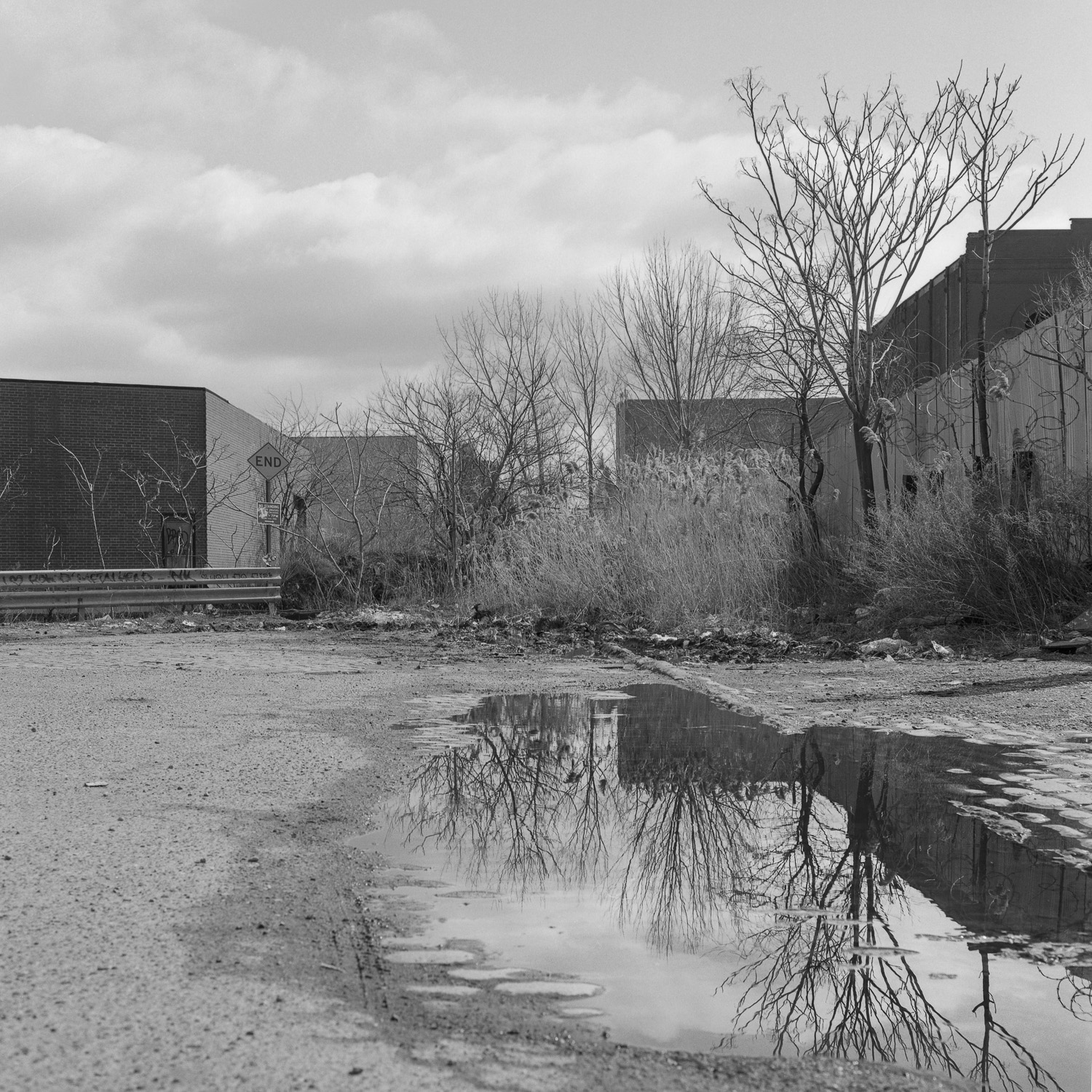 B&W image of a puddle at the end of a street showing the reflection of a tree above it.