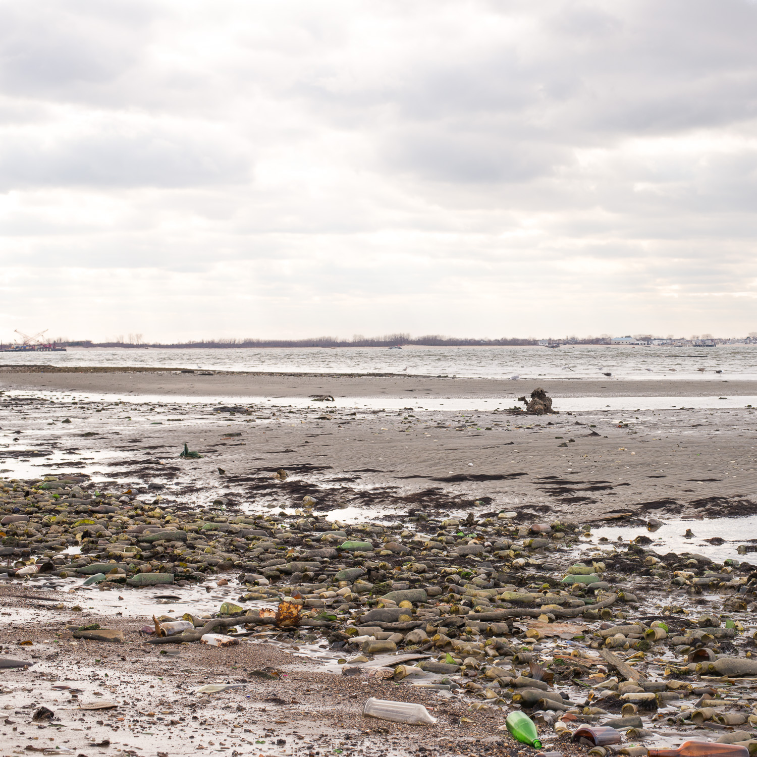 Color image of many bottle covering a beach.