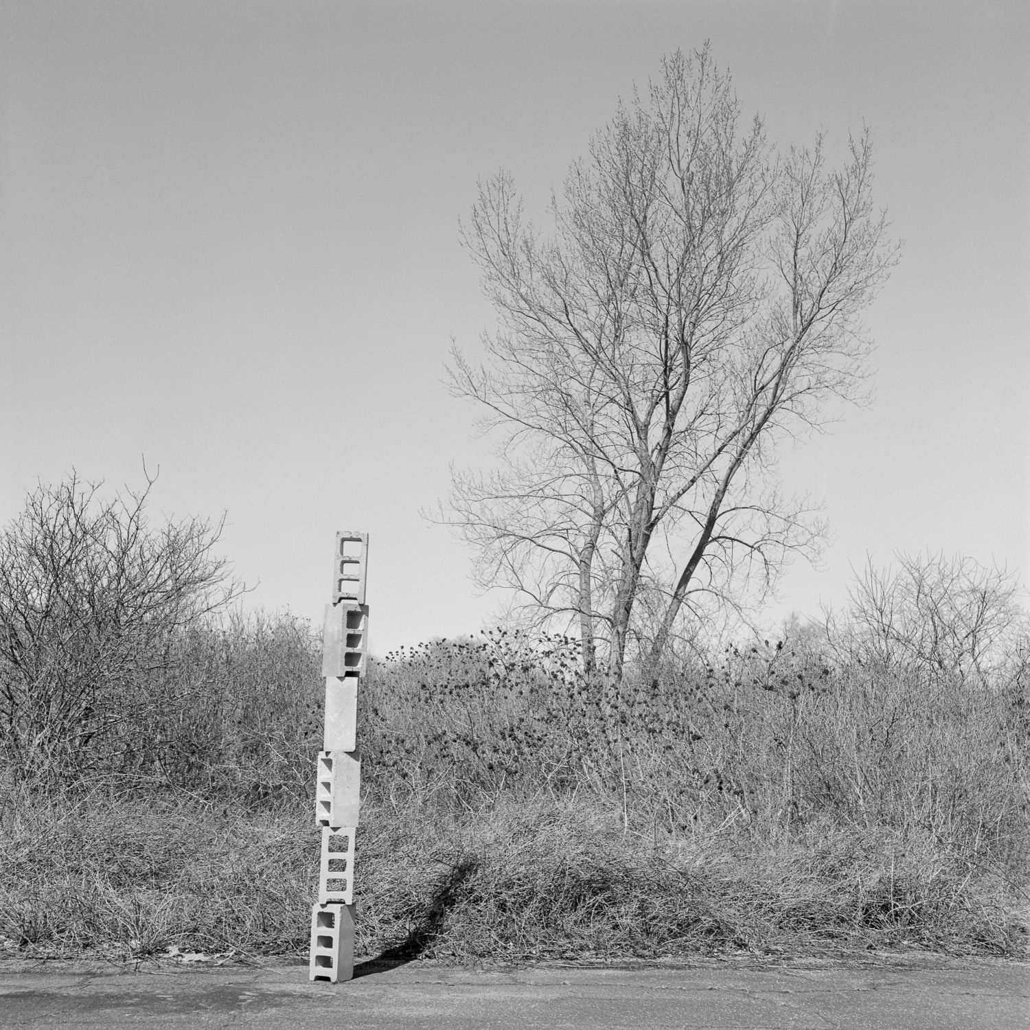 Six cinder blocks precariously stacked on top of each other next to a tree amidst brush in Winter.