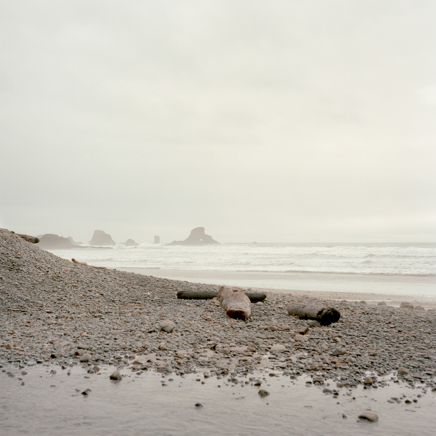 Monochromatic color image of a rocky beach with a few logs.