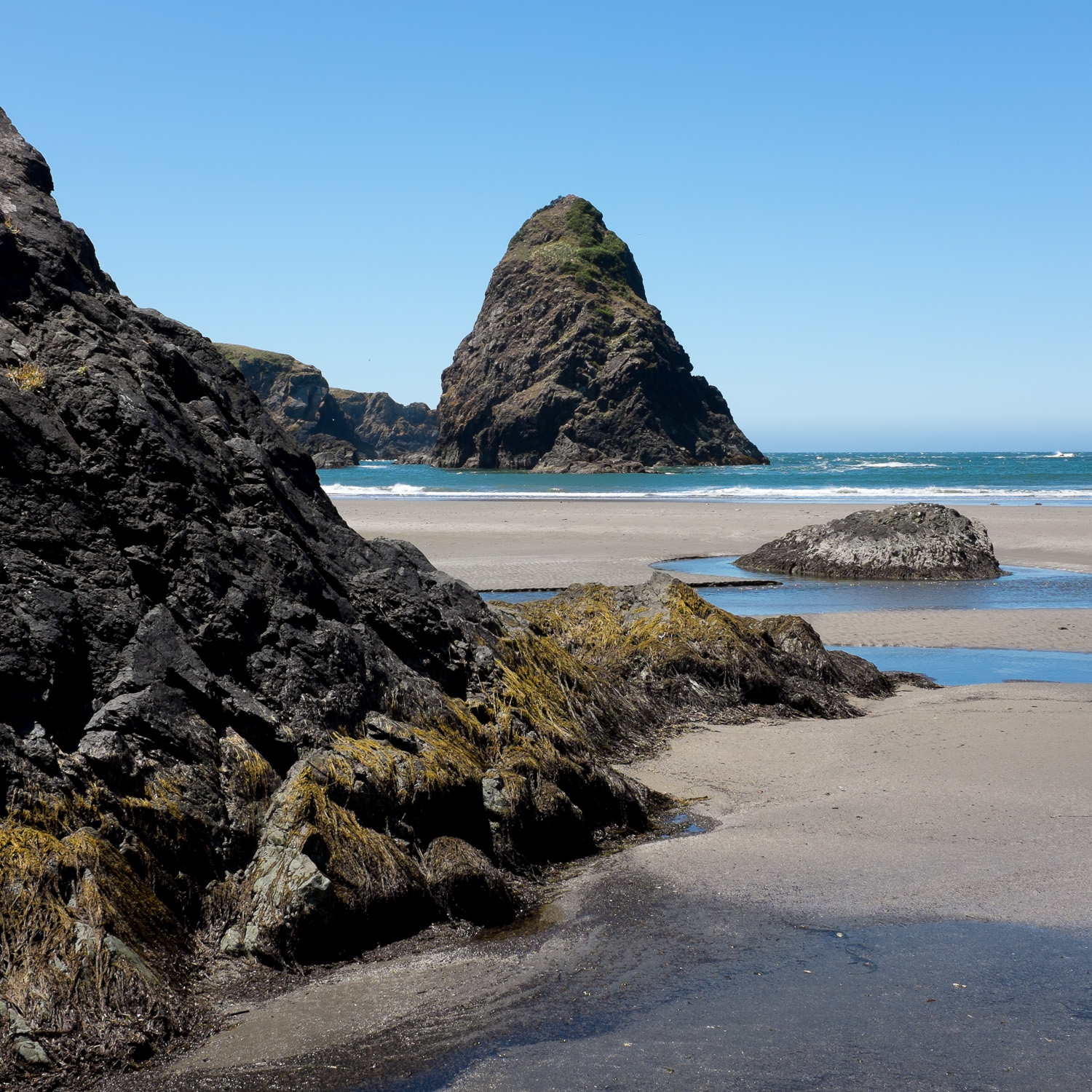 Color image of a seaweed covered volcanic rock on a beach on the Pacific Ocean.