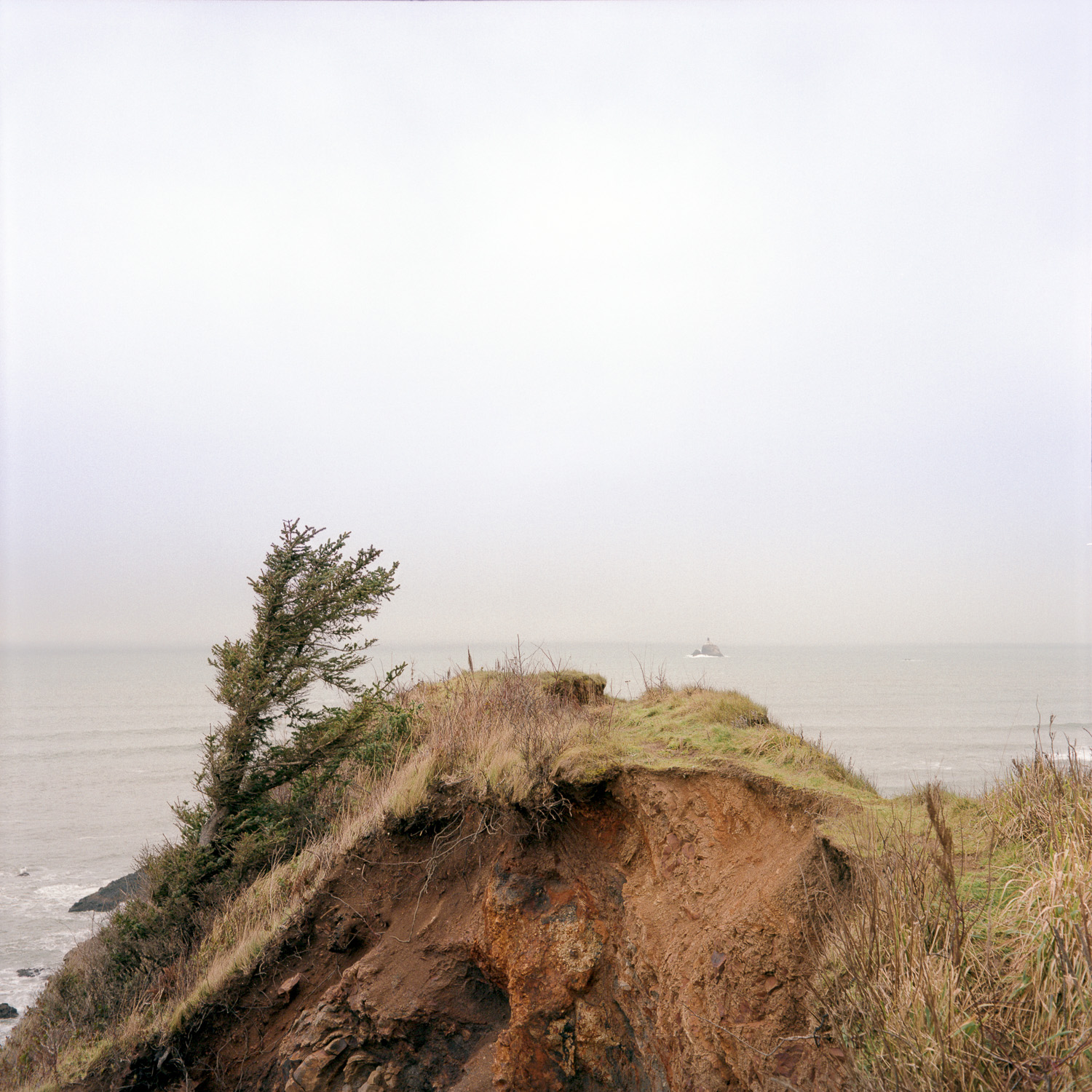 Color image of a bluff overlooking the Pacific Ocean with a lighthouse far off in the mist.