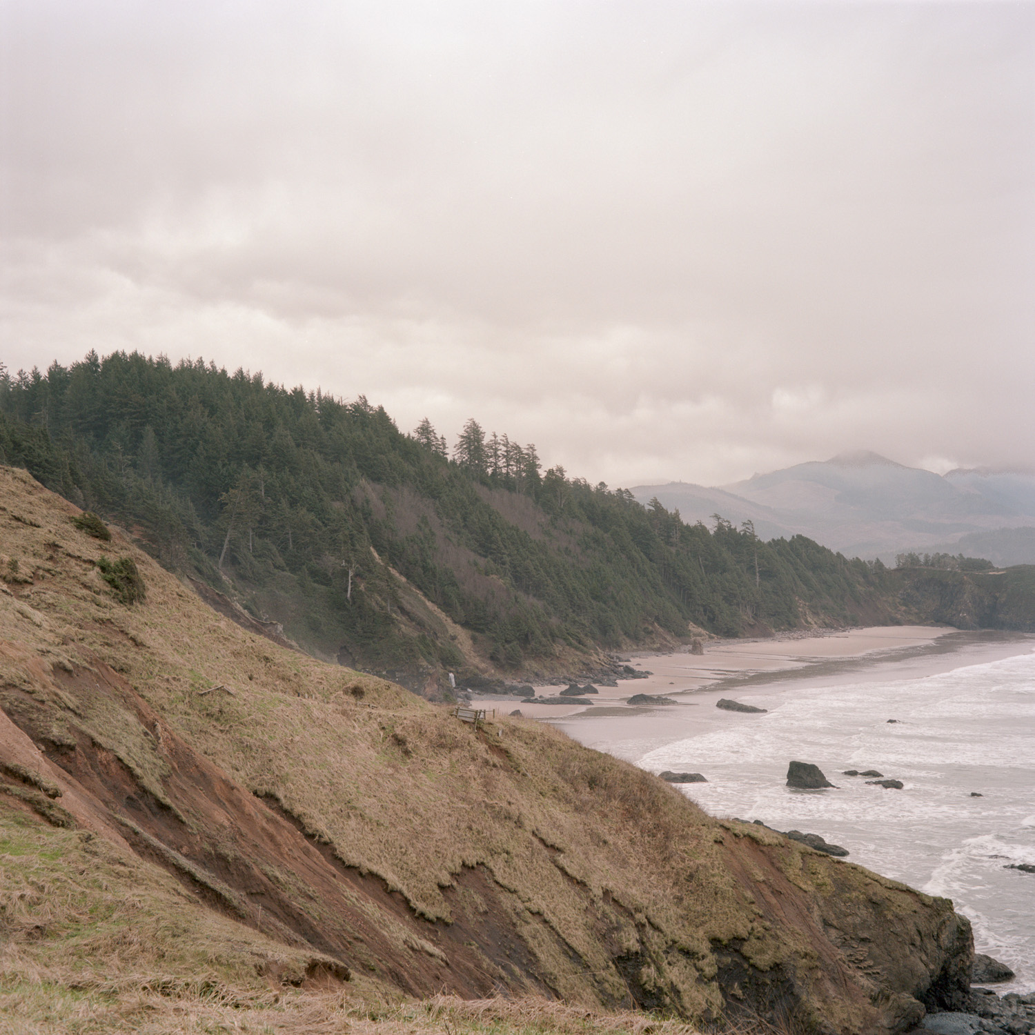 Color image of the Oregon Coast with a bluff in the foreground