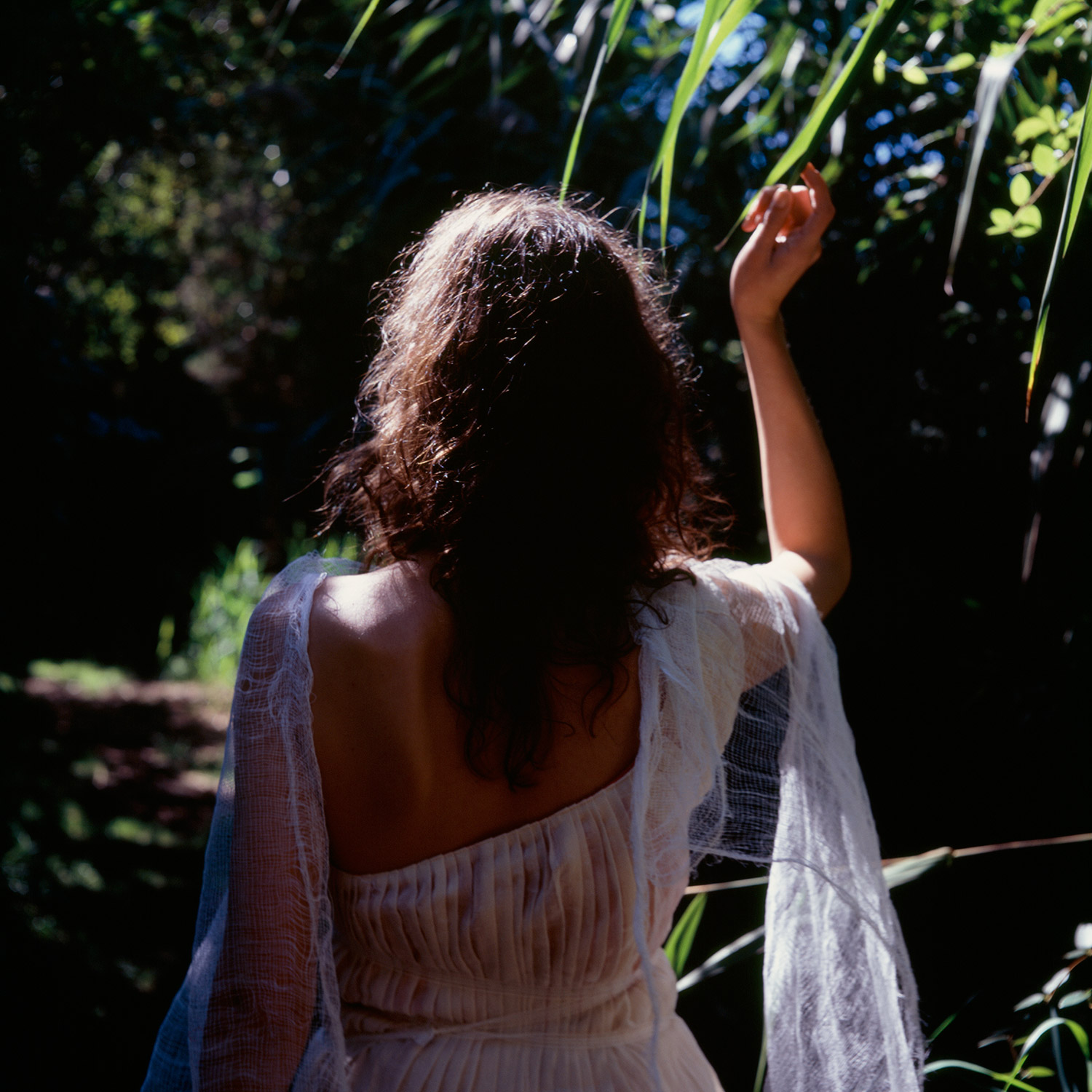 Color image of Sati avatar walking away as she trails her up-reaching hand on a passing branch.