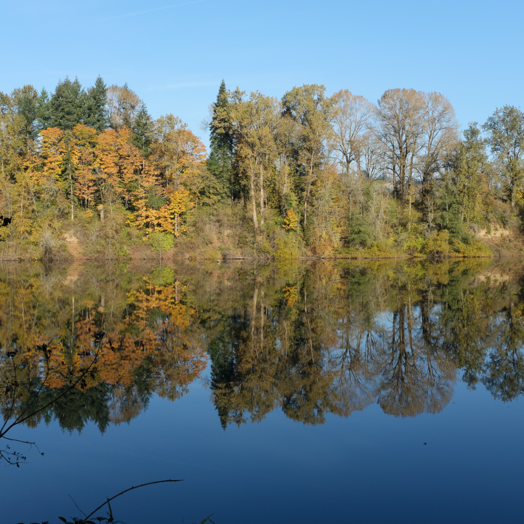 Williamette River, Champoeg, OR