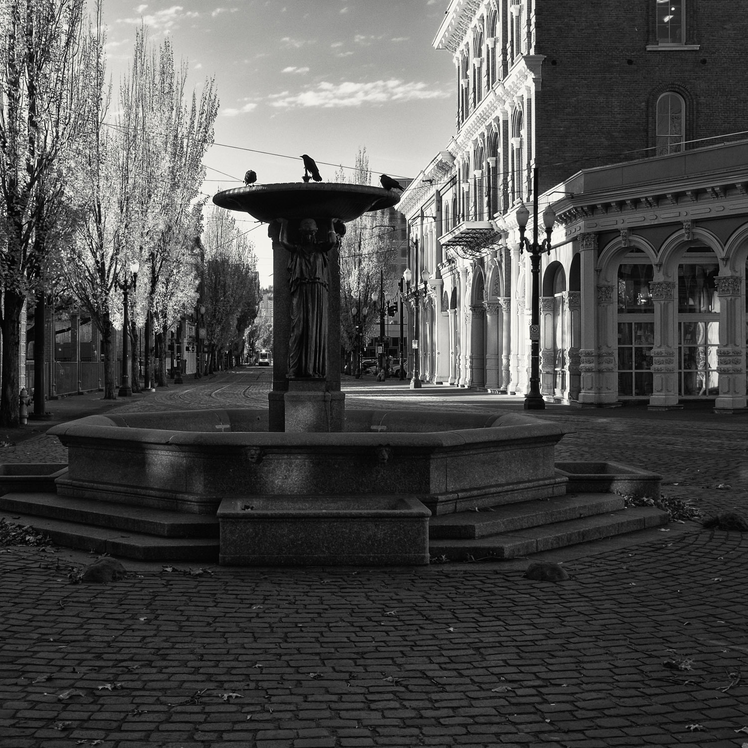 Crows on Fountain in Saturday Market, Portland, OR