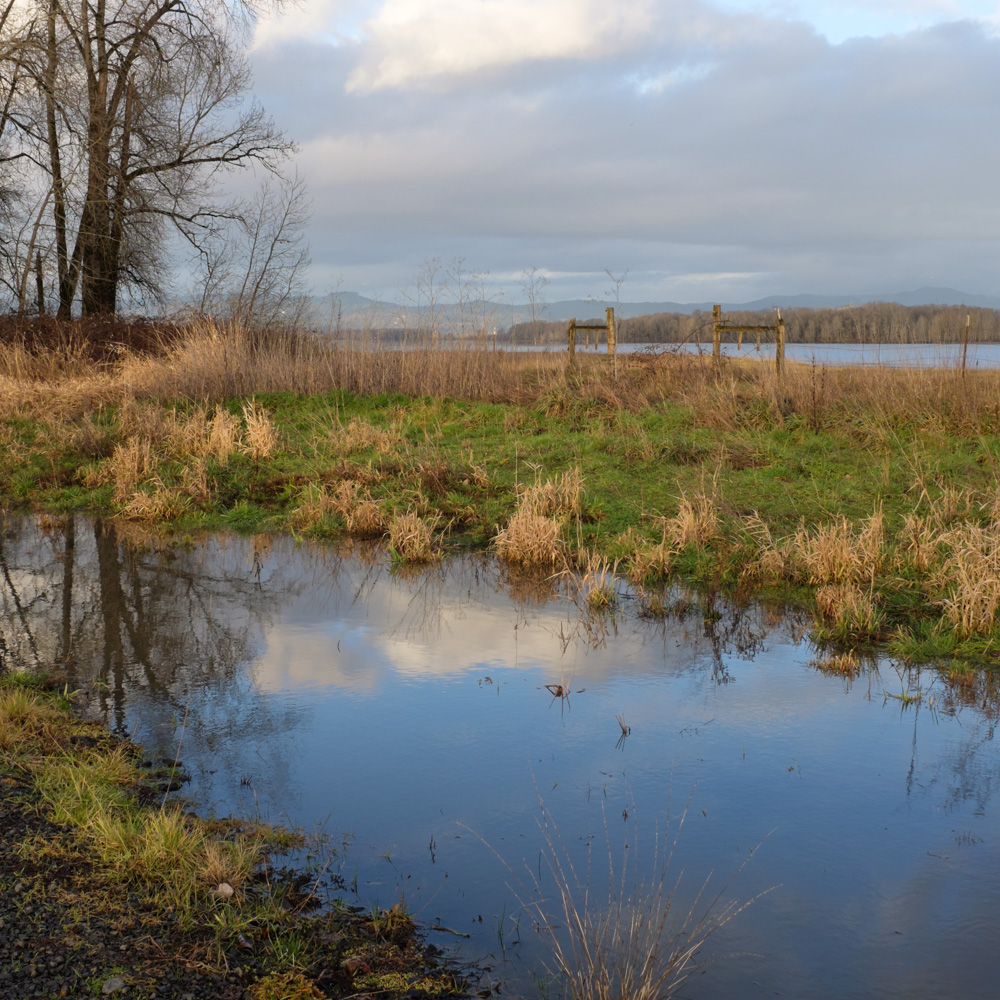 A blue channel of water cutting through green grass and yellowed reeds with a river and clouds beyond it.